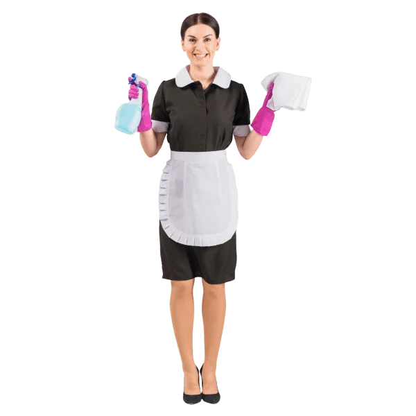 About Ana Cleaning Services