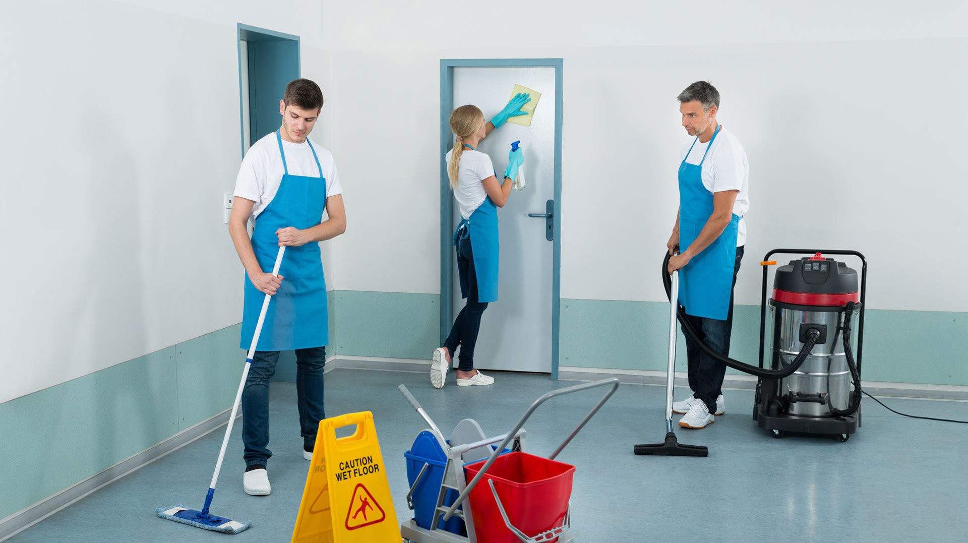 maryland professional cleaning service