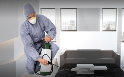 Office Best Cleaning Tips For Pest Control