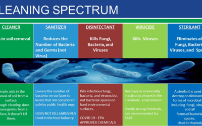 Disinfectant VS. Sanitizer: Wich One Will Combat Covid-19?