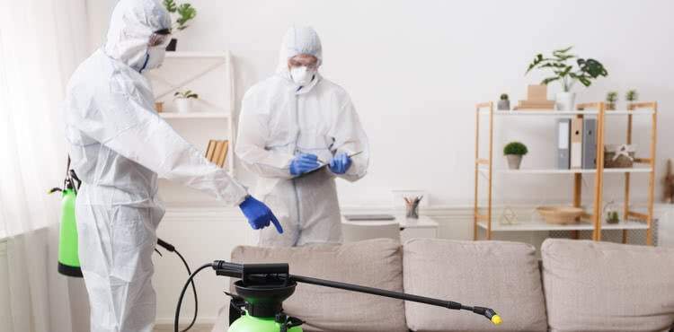 covid 19 cleaning services