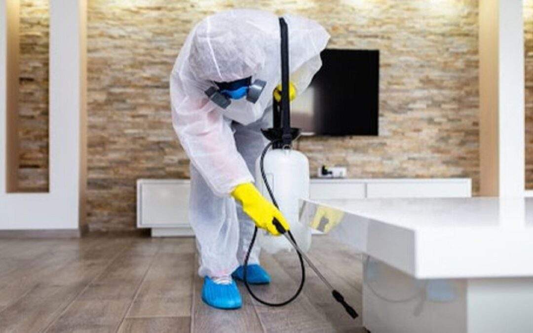 best way to disinfect a house