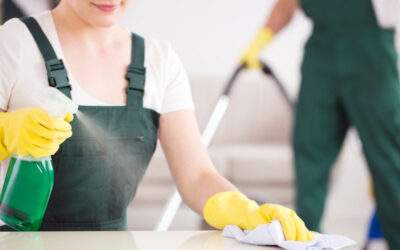 5 Signs You Need a Professional Cleaner in Maryland