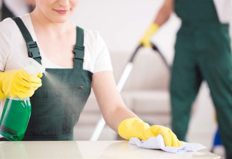 professional cleaner in maryland