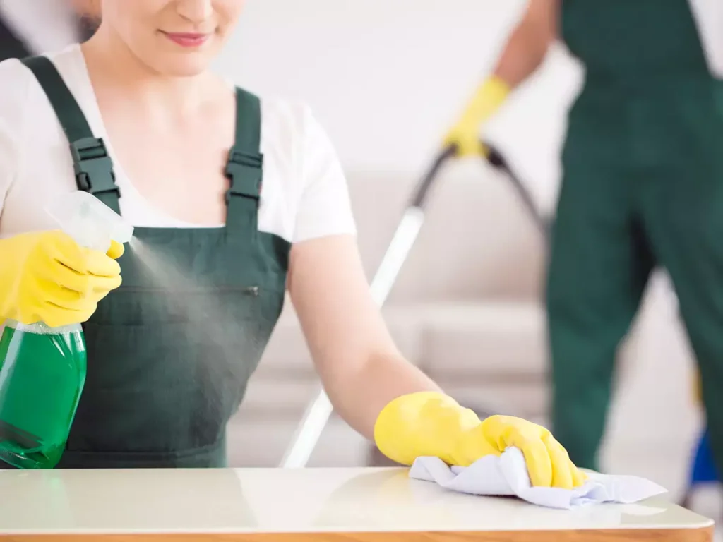 maryland cleaning professionals