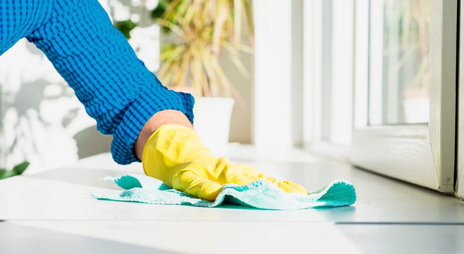 professional home cleaning services