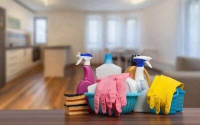 Professional Home Cleaning Services