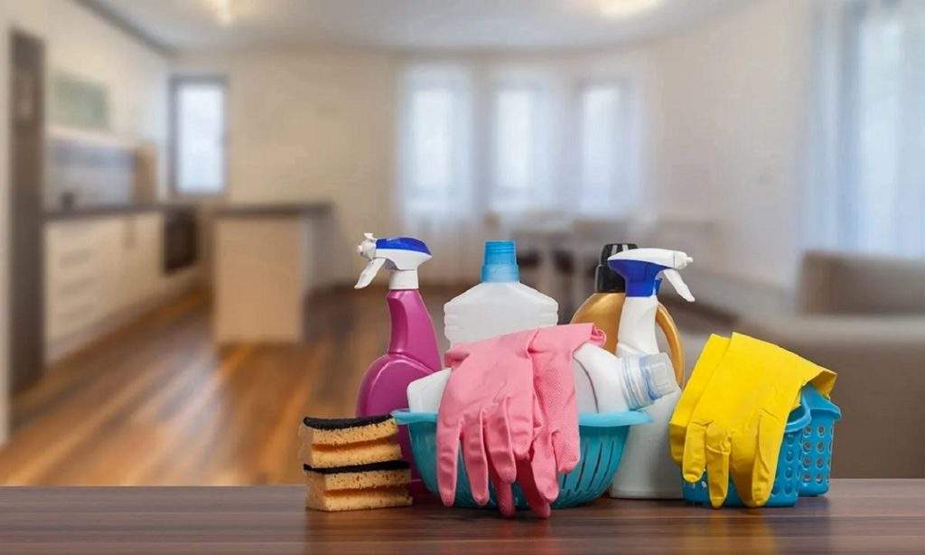professional home cleaning services