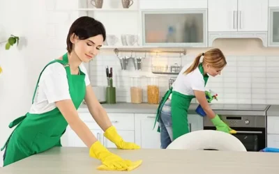 Maids Service in Maryland: 5 Fantastic Tips For Assist You In Choosing The Best